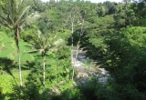 06-IMG_0335
