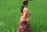 1-IMG_0085-1