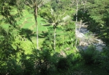 16-30-IMG_0332