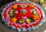 08-2-IMG_0135