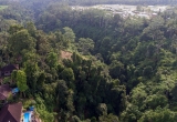 14-DJI_0018